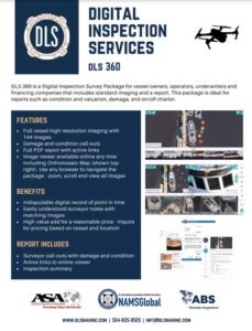 Digital marine inspection and remote vessel survey