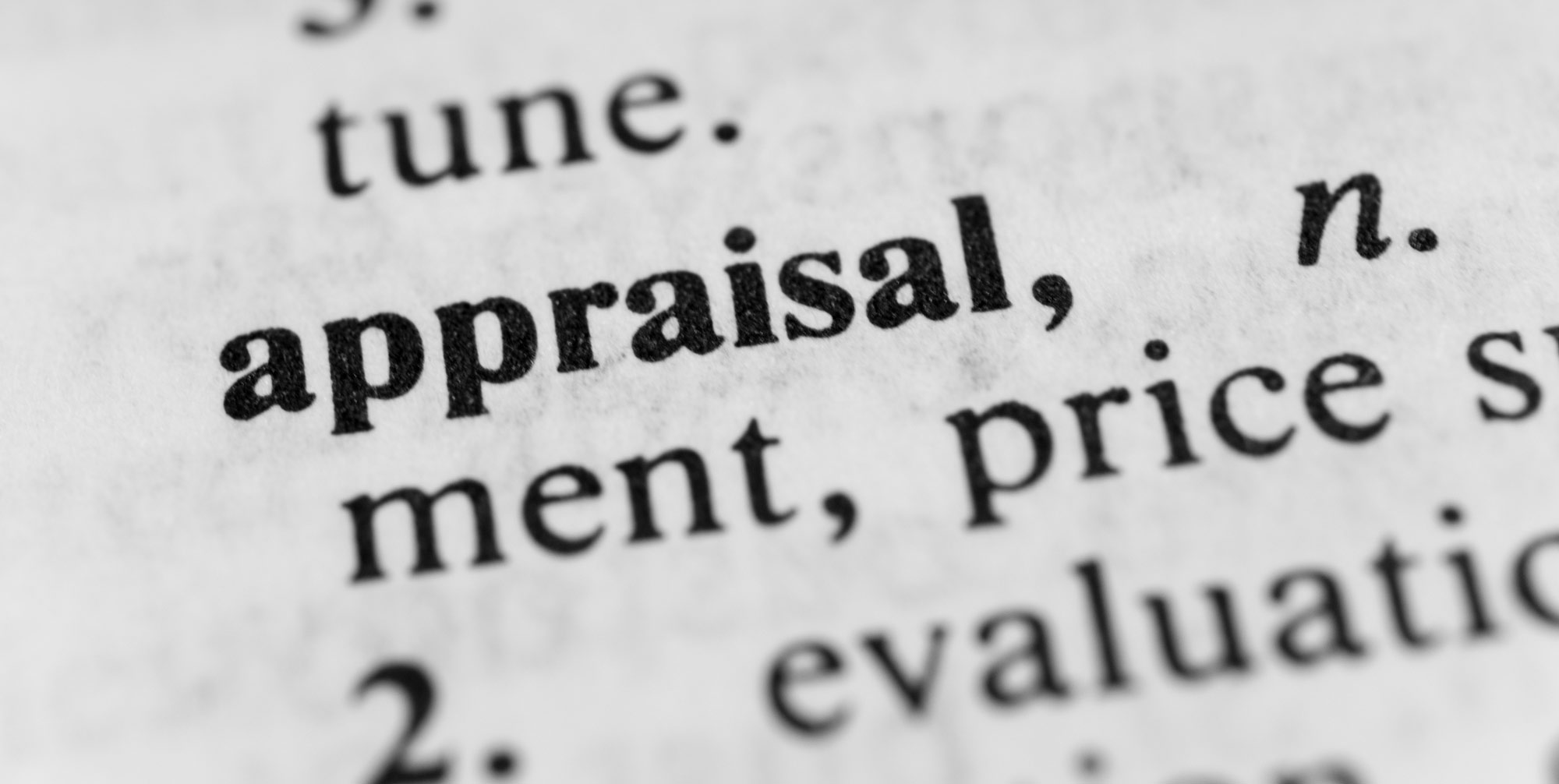 Do appraisal methods commonly used internationally meet acceptable standards?